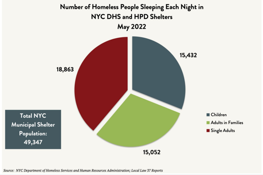 Pie Chart Of Homeless People In Shelters Help Build NYC