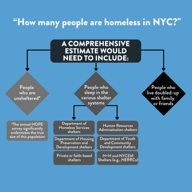 (1) Delving into Homelessness in New York City: Understanding its Causes, Impacts, Policies, and Solutions